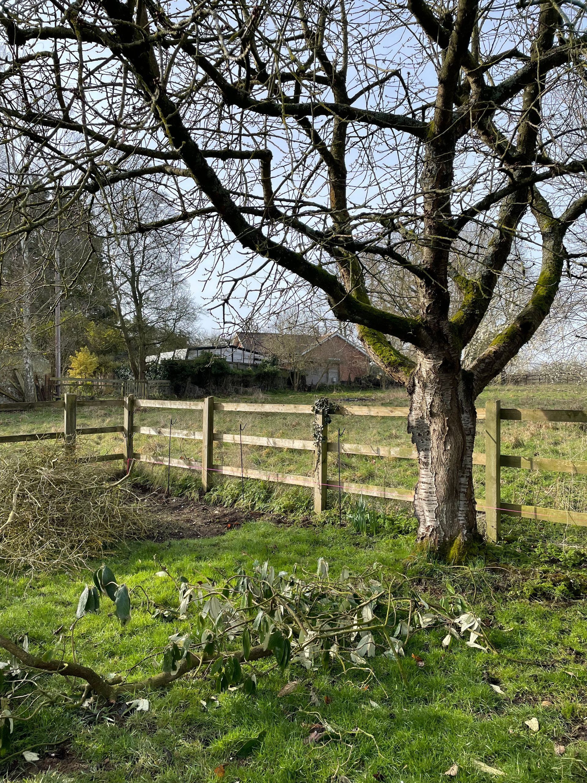 Hertfordshire Chapel Garden | Original garden before new design | Gardr