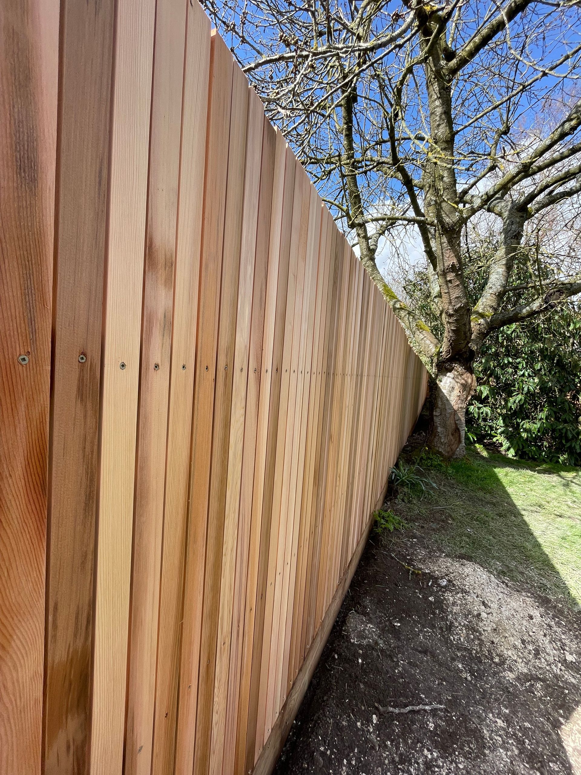 Hertfordshire Chapel Garden | Beautiful Cedar Fencing | Gardr