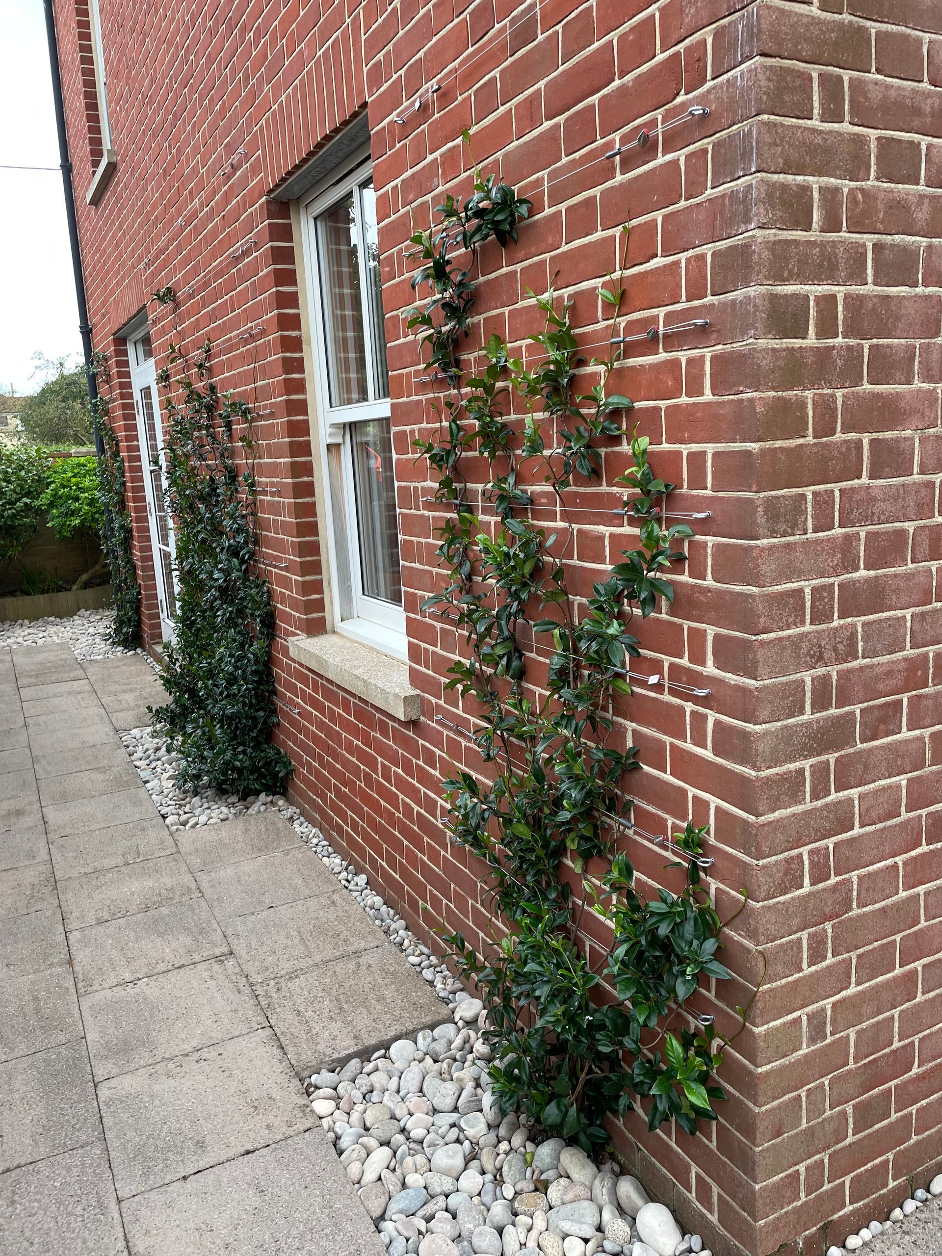 Suffolk Beach Garden | New Paving & Wires | Gardr