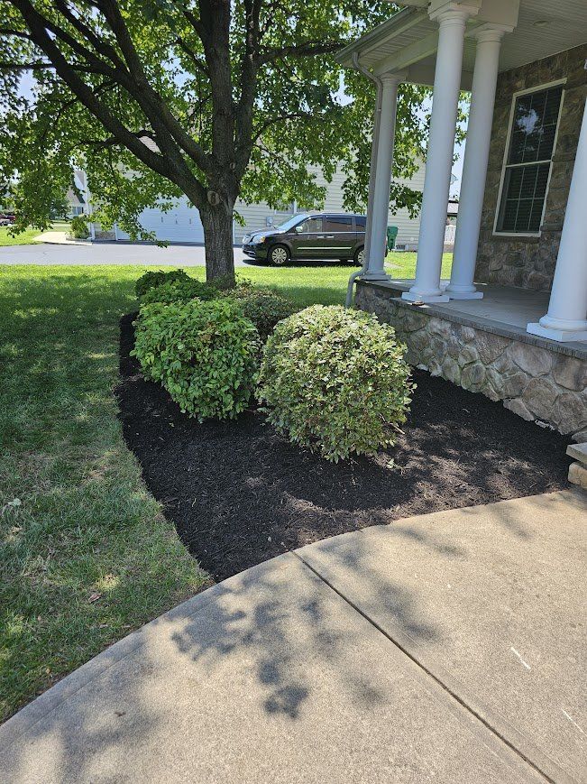 Front porch with white columns, black mulch bed, shrubs, and a curved concrete walkway under a tree.