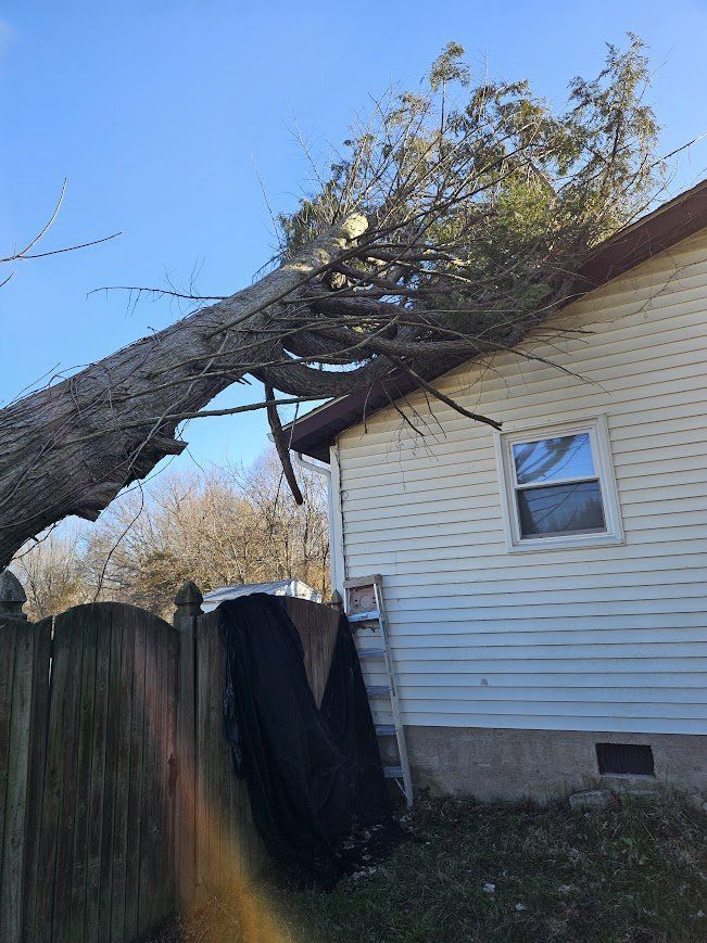Fallen tree branch resting on the roof of a white house beside a wooden fence.