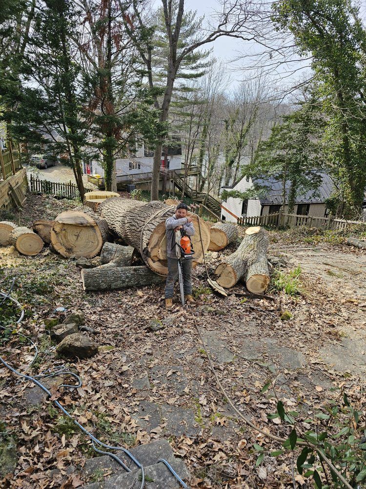 Worker standing by stacked cut logs in a muddy wooded yard with houses in the background