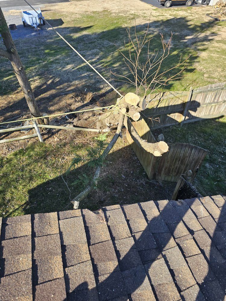 Tree pruned with long ropes beside a roof and grassy yard, viewed from above