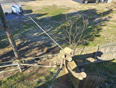 Roof shingles and a large tree branch down over a yard fence after storm damage. Roof shingles and a large tree branch down over a yard fence after storm damage.