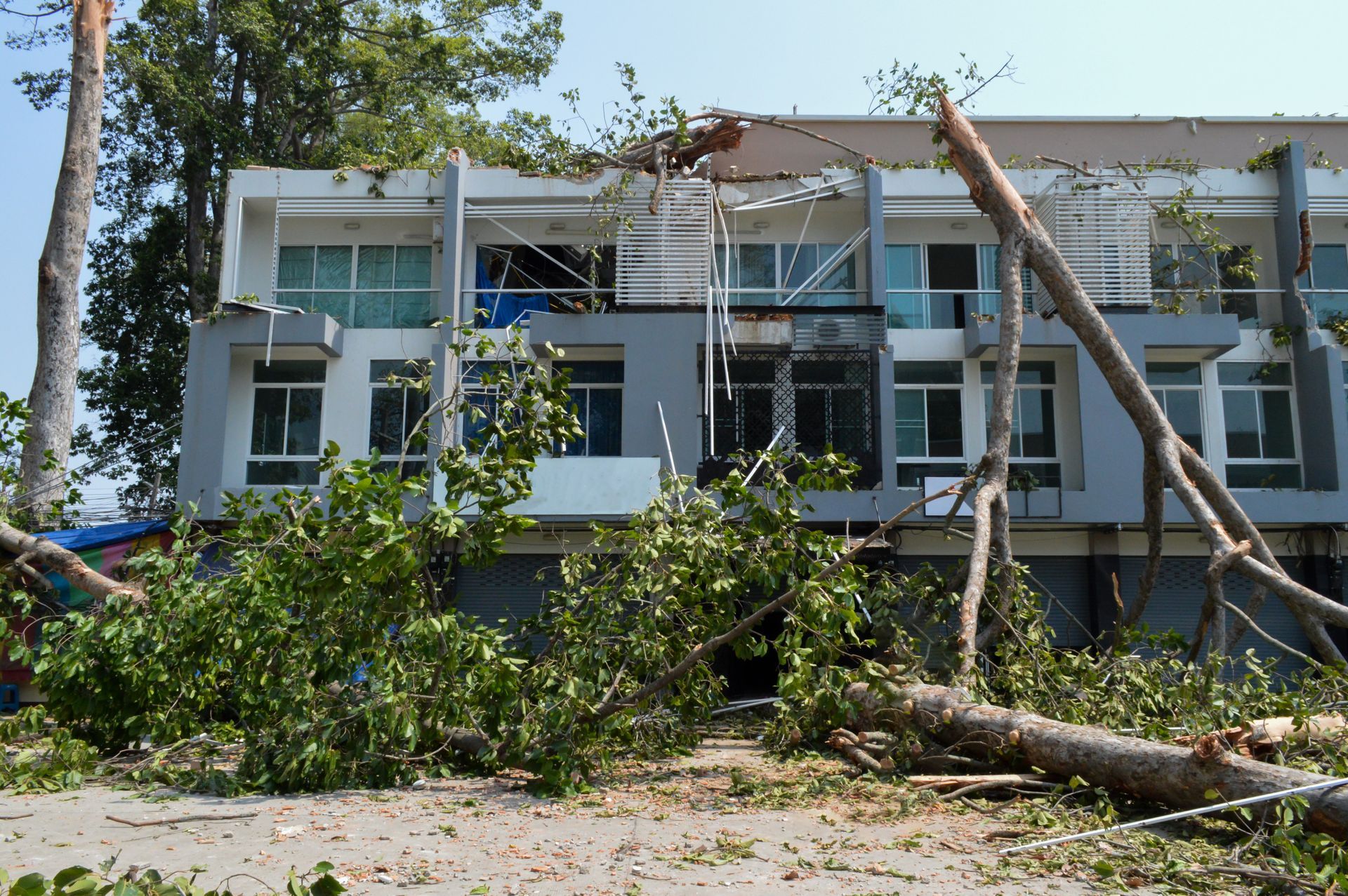 Damaged house with fallen trees and storm debris blocking the front yard