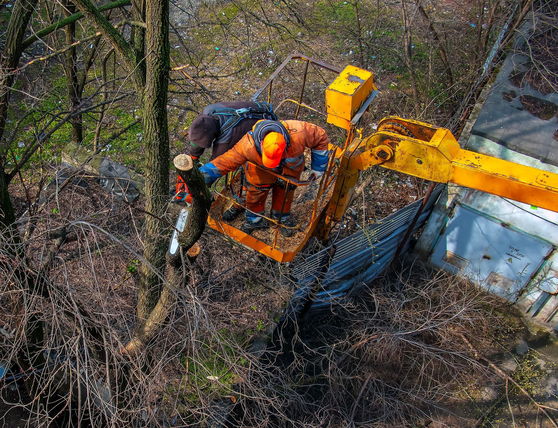 Worker in orange helmet operating yellow cherry picker among bare trees near a building