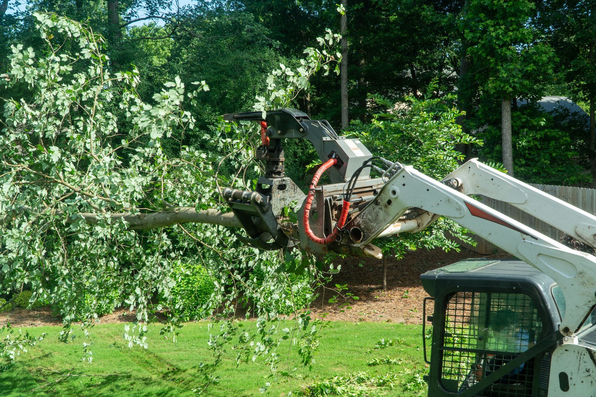 White grapple loader lifting leafy branches in a green yard