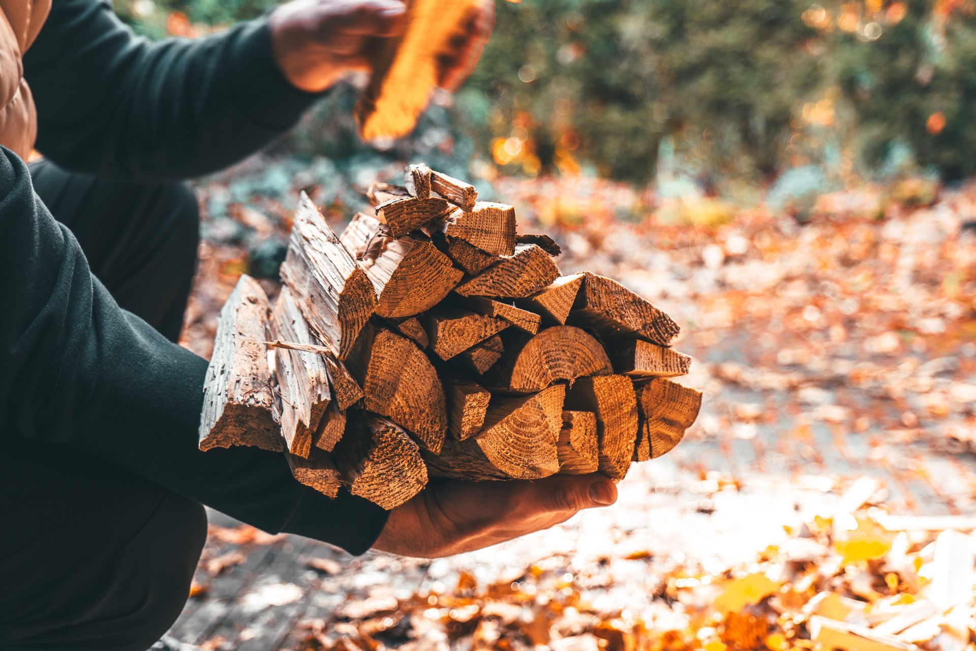 Person holding a bundle of chopped firewood outdoors in autumn