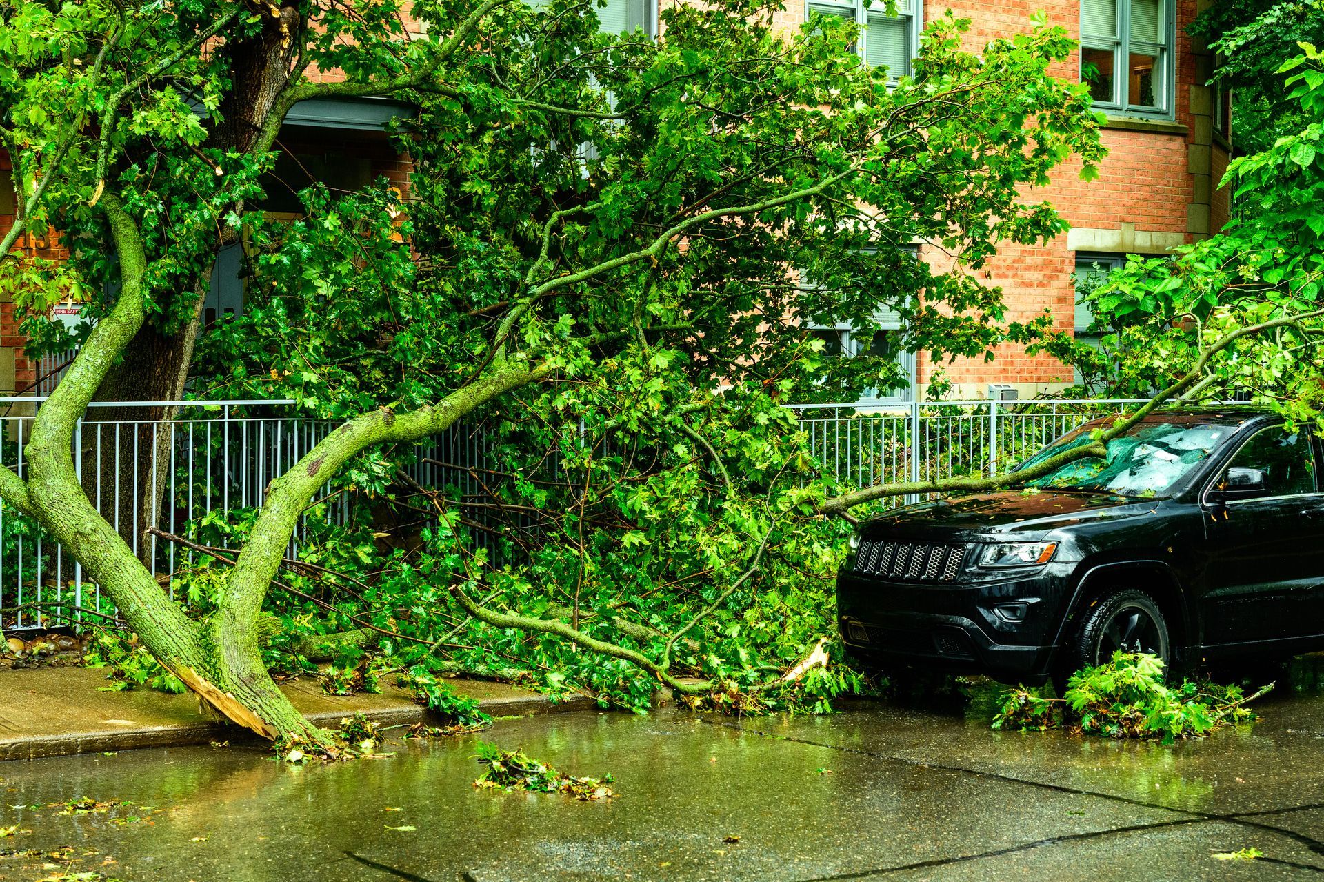 Storm damage on a wet street: fallen tree branches block the road beside a parked black SUV.