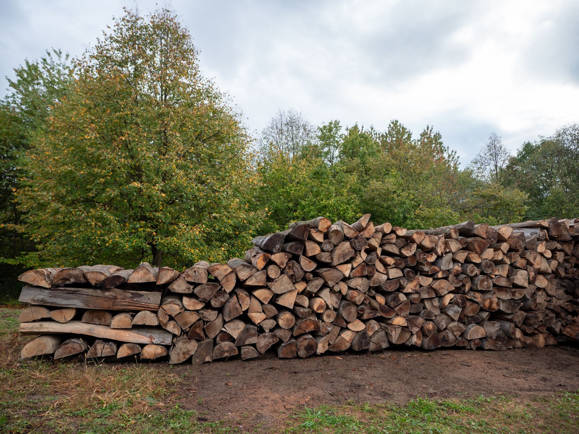 Stacked firewood logs outdoors with trees and cloudy sky in the background