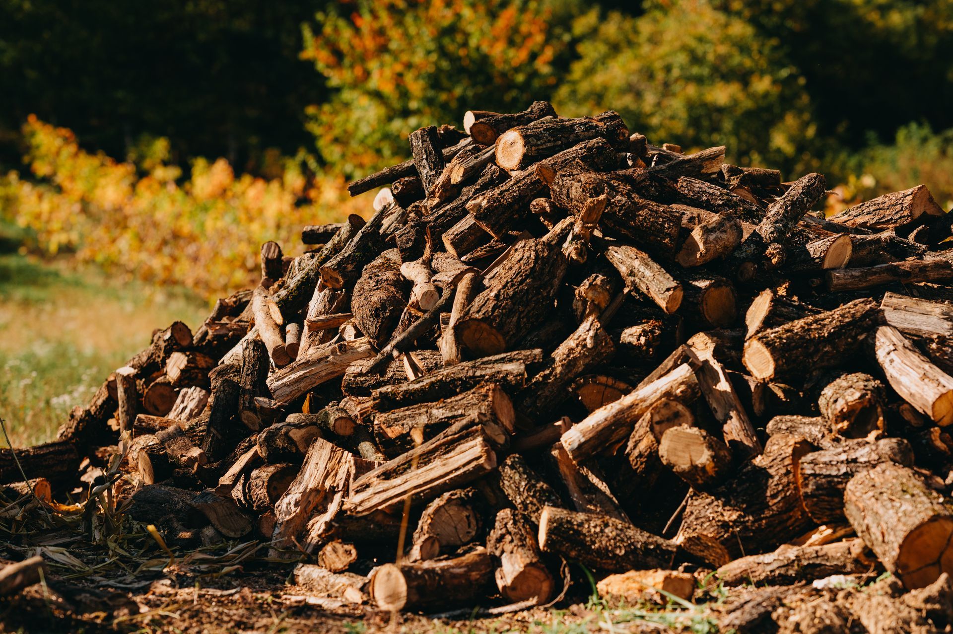 Pile of chopped firewood stacked outdoors on the ground, with blurred autumn foliage in the background