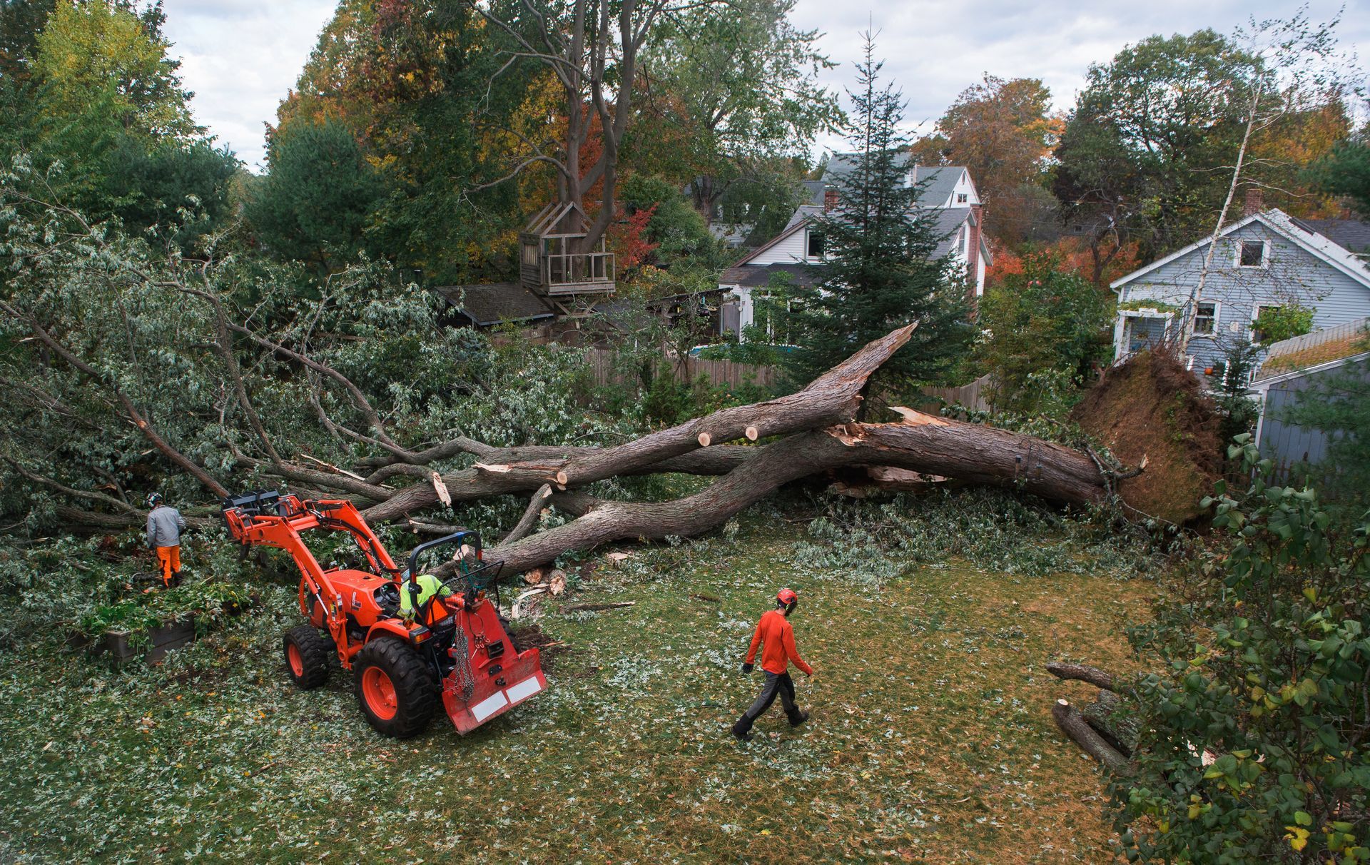 Workers clearing a fallen tree from a yard with a red tractor after storm damage
