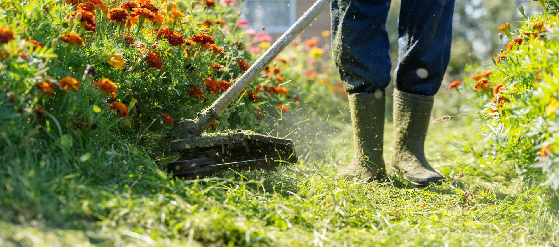 Person mowing a grassy garden with red flowers nearby, wearing boots and dark pants