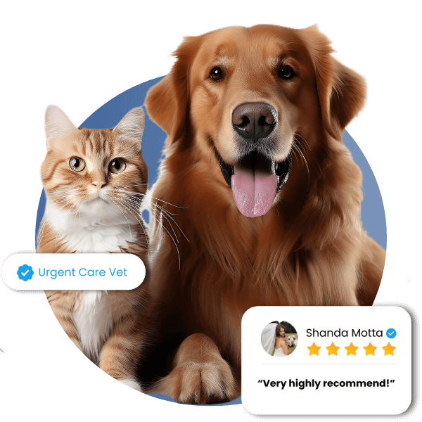 Urgent Care Veterinarian & Animal Hospital in Enterprise, AL