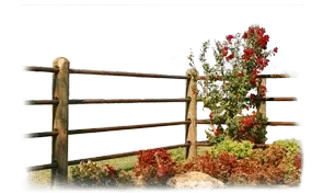 A wooden fence with flowers in the background