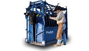 A man is standing next to a cow in a Priefert squeeze chute pen.