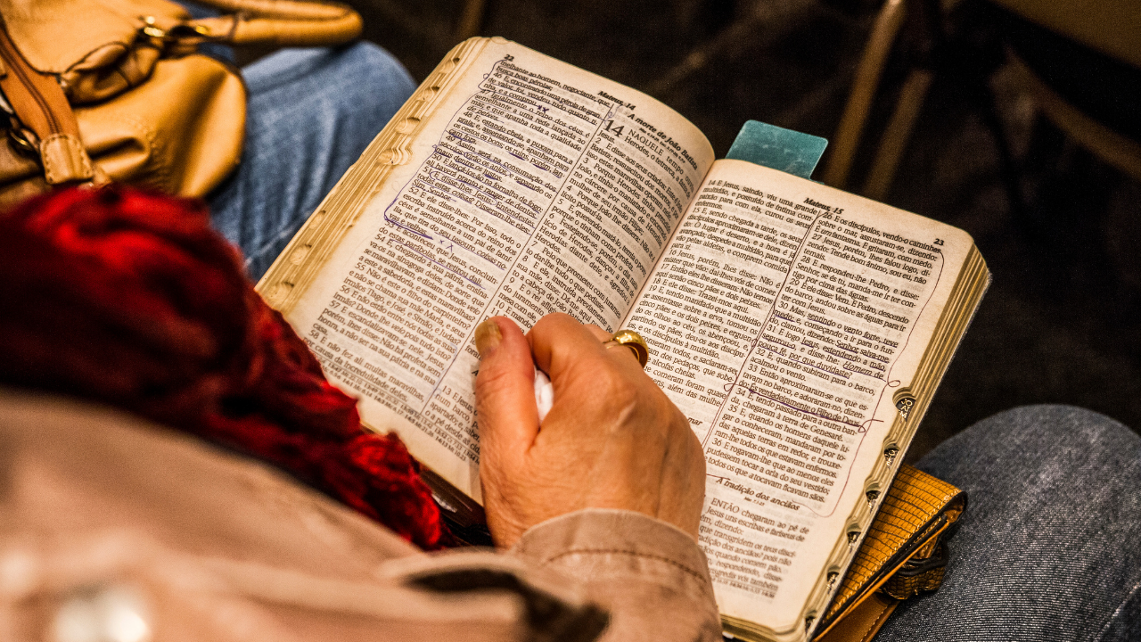 studying bible