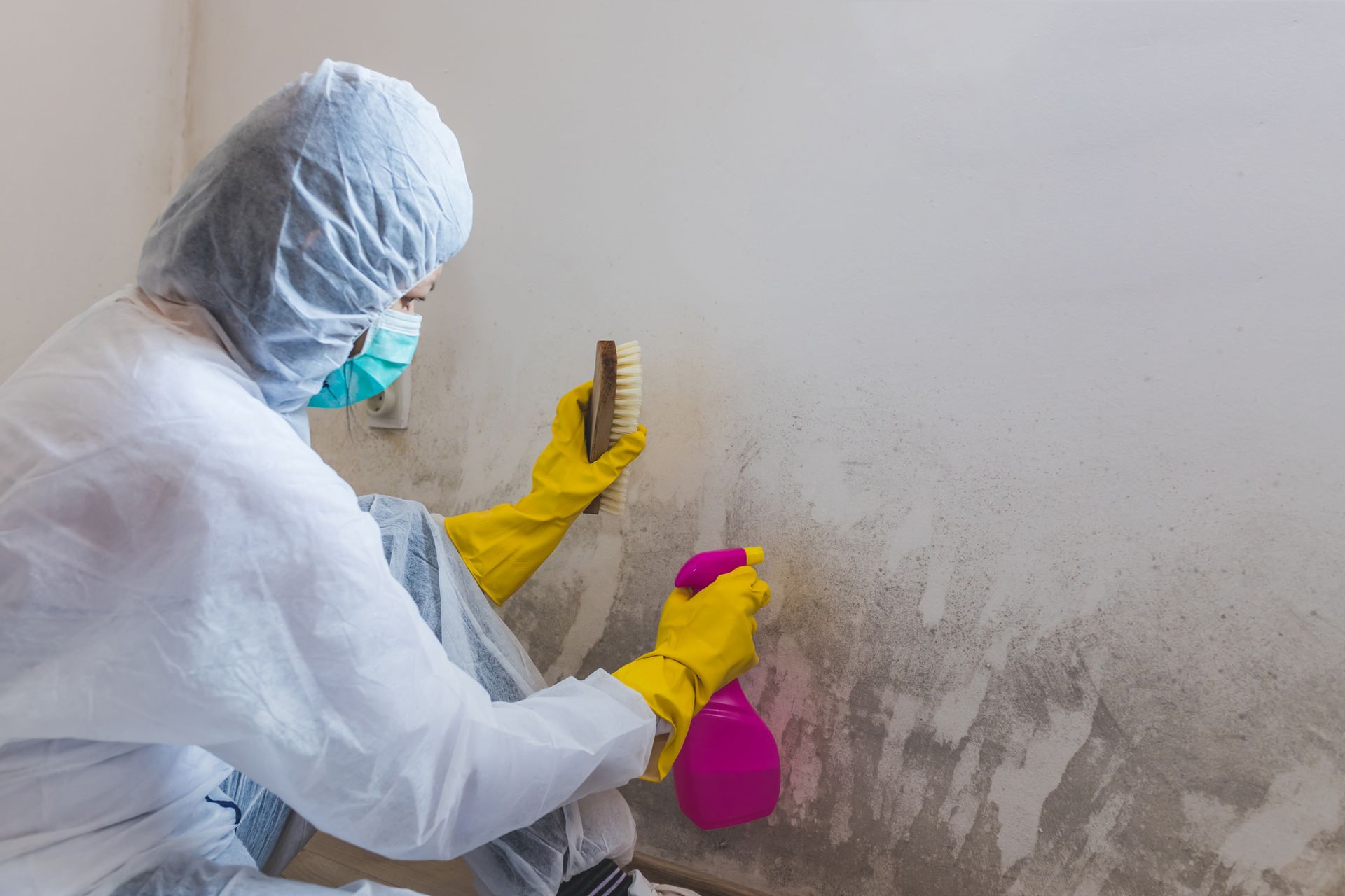 Mold Inspection in Framingham, MA Mold Inspection in Framingham, MA