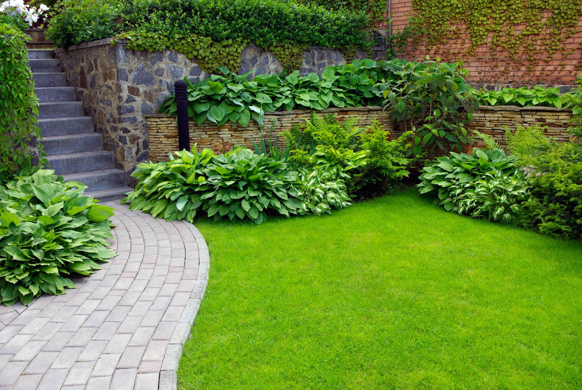 Curved stone path and steps beside lush green garden beds and a brick wall