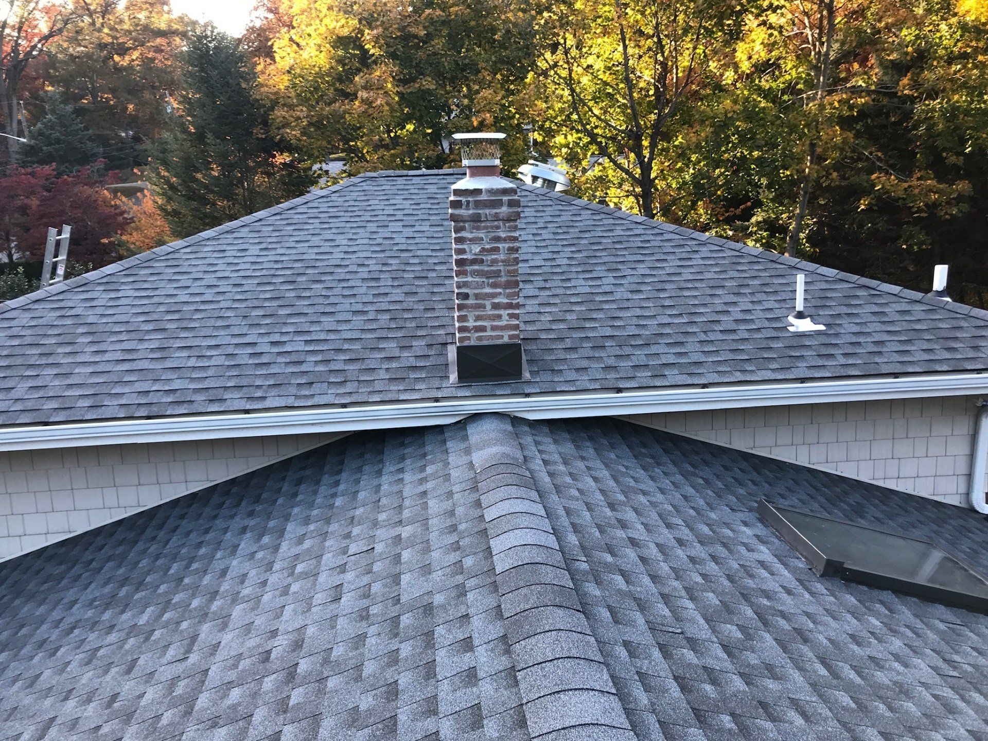 Roof shingles and chimney on a house with trees in the background
