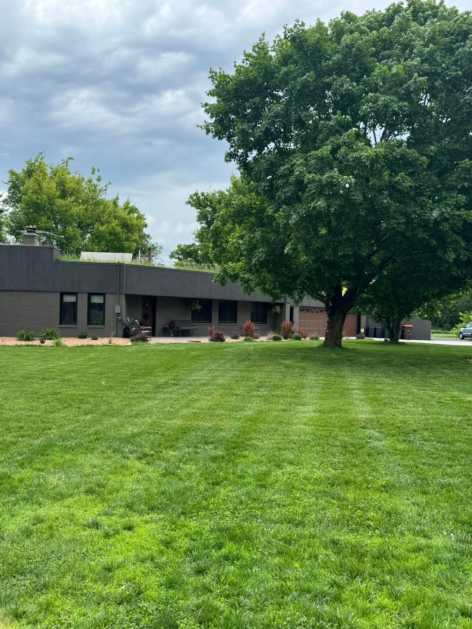 A dark-colored, single-story house with a large green lawn and a prominent deciduous tree in the foreground.