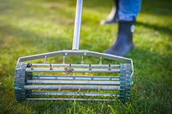 A person uses a handheld rolling lawn aerator with metal spikes to aerate a grassy lawn.