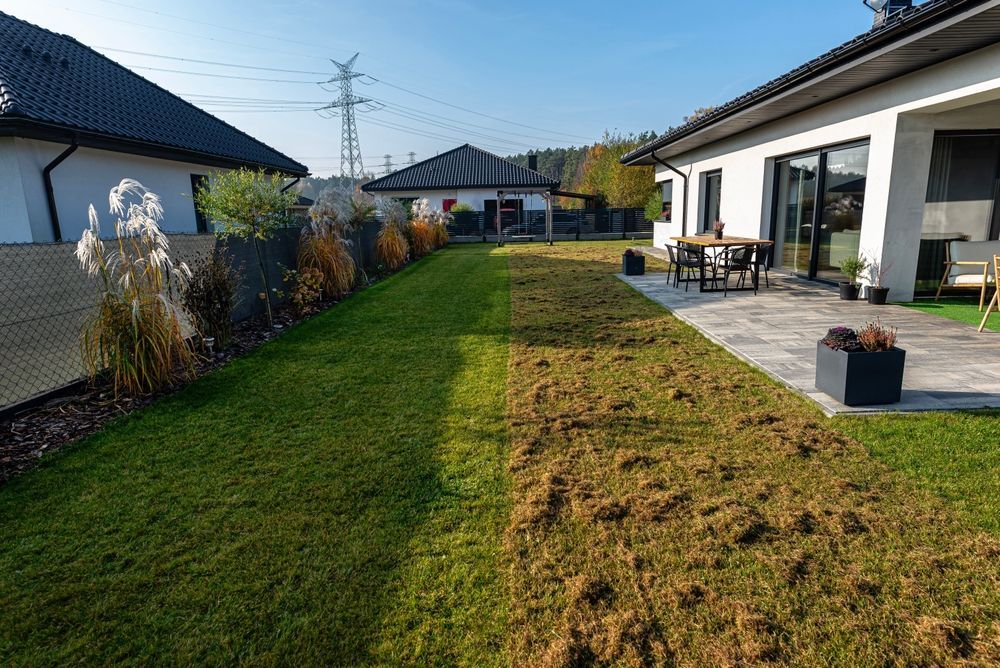 A backyard lawn showing a stark contrast between a lush green section and a dry, patchy area near a stone patio.