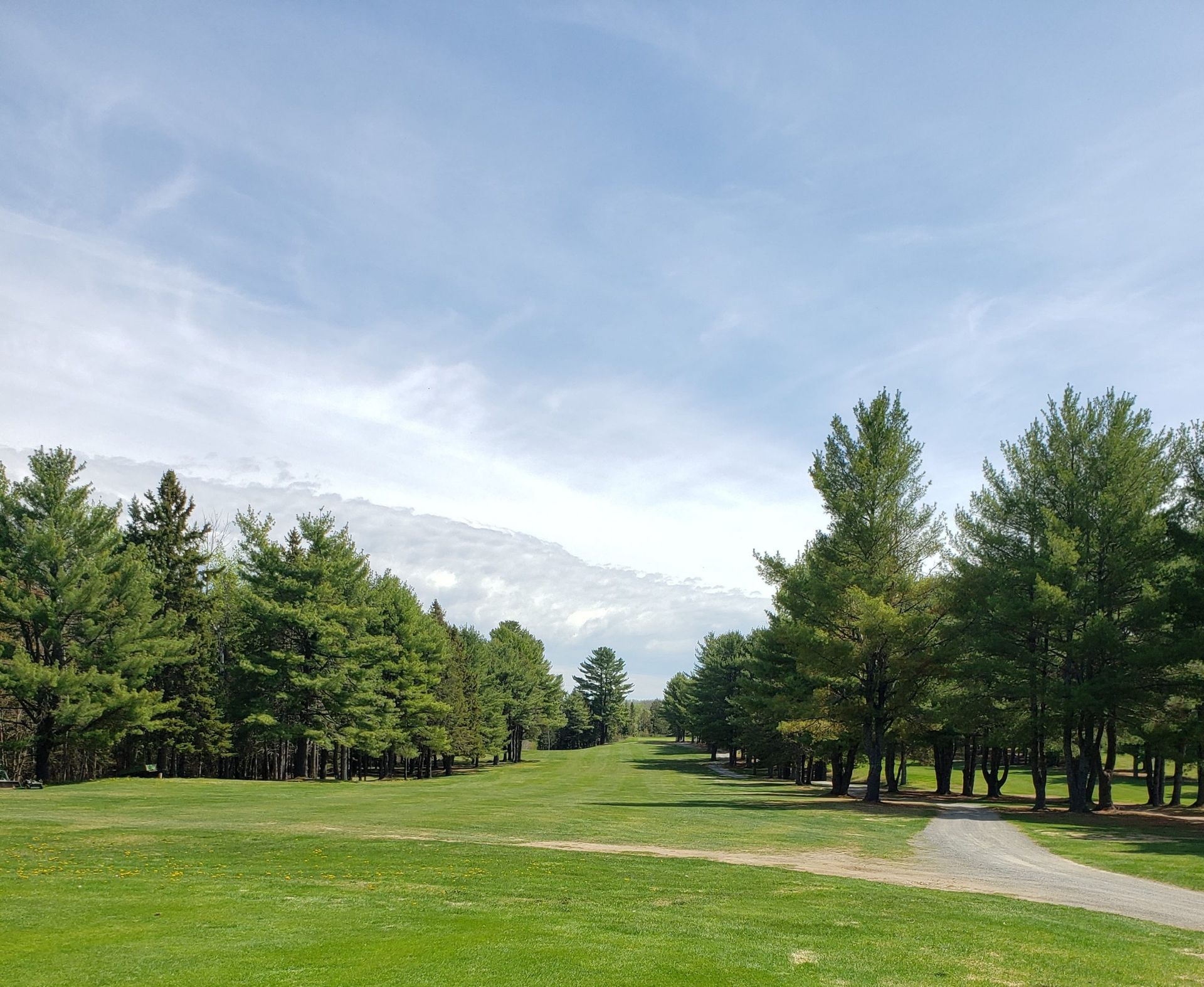 Grassy park path lined with trees, mountains in the distance under a partly cloudy sky.