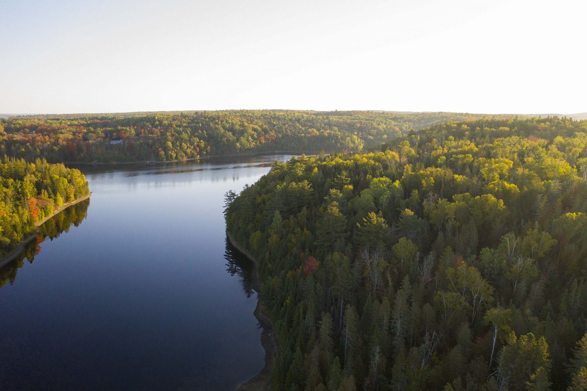 Aerial view of a river winding through a dense forest with autumn colors.