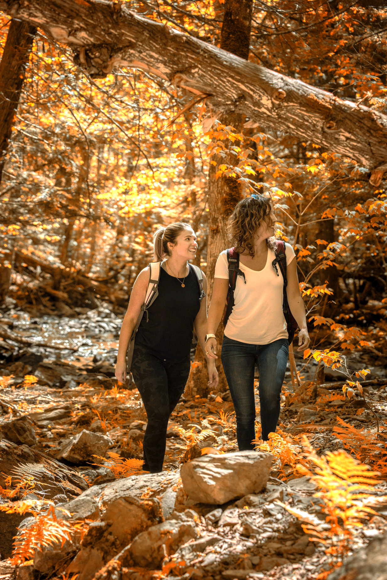 photorealistic couple hiking a trail overlooking a wide river in the autumn bright foliage