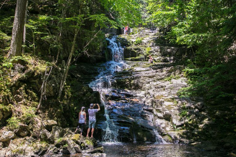 People standing at the base of a waterfall in a forest, taking photos.