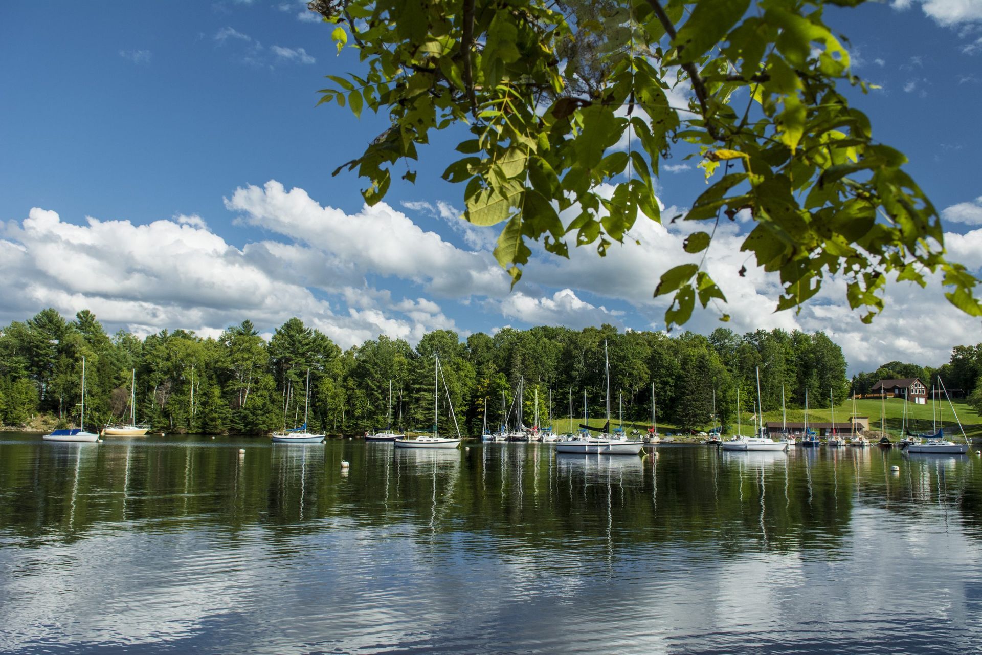 Sailboats on a calm lake, surrounded by green trees, under a blue sky with clouds.