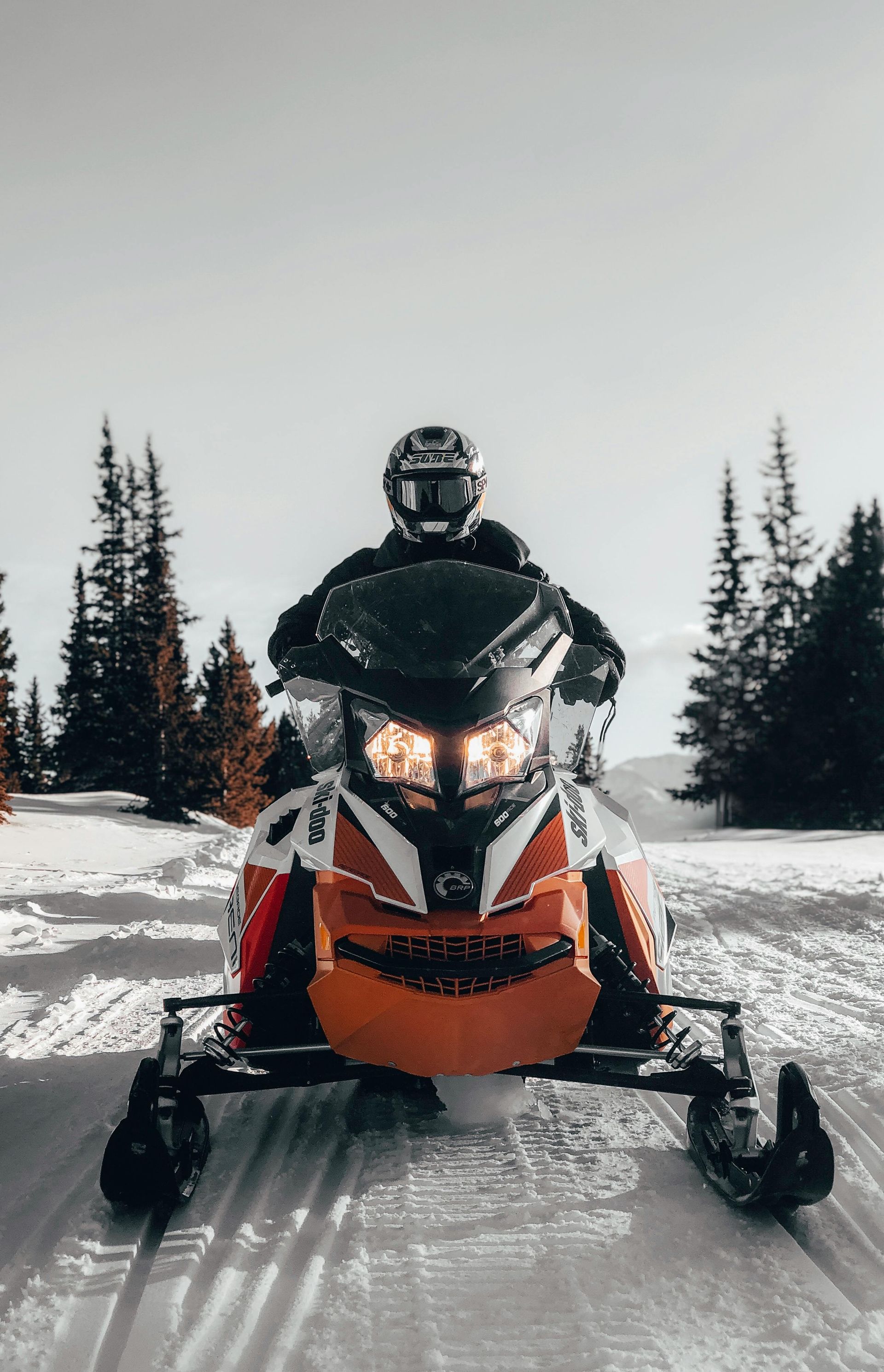 Snowmobiler on a snowmobile, traveling on snow-covered trail in a forest with clear skies.
