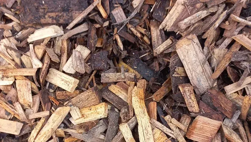 Mulch