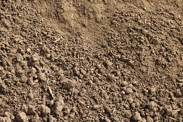 Garden mix & soil