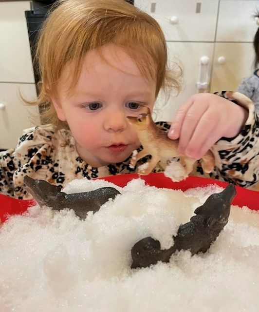 Child in a leopard-print top reaching toward a fish in snow, with a shark toy in the foreground.