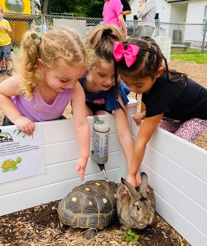 Children leaning over a white pen petting a tortoise and rabbit together outdoors