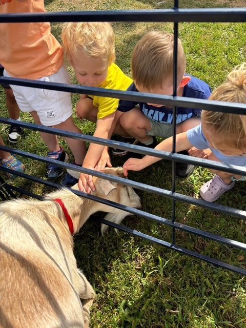 Children petting a goat through a fence at a petting zoo