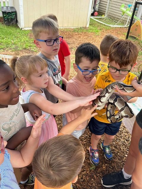 Children gathered around and gently touching a snake outdoors in a yard