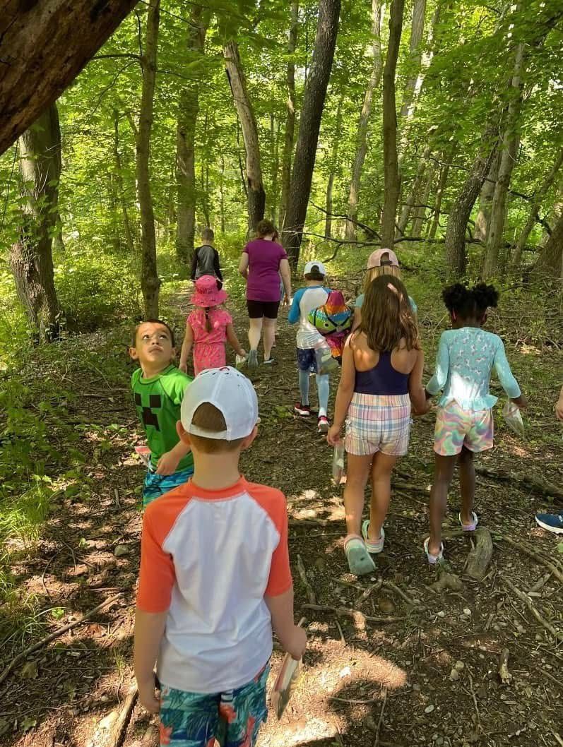 Children walking along a wooded trail in a sunlit forest, seen from behind.