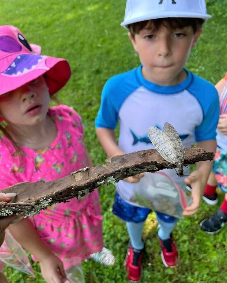 Two children in sun hats observe a gray moth on a branch over green grass.
