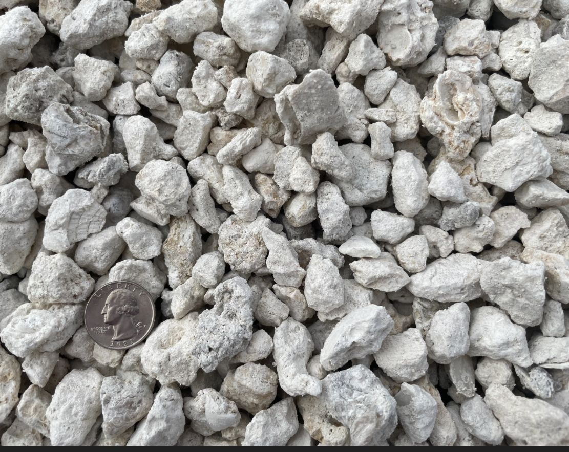 A pile of rocks with a quarter in the middle.
