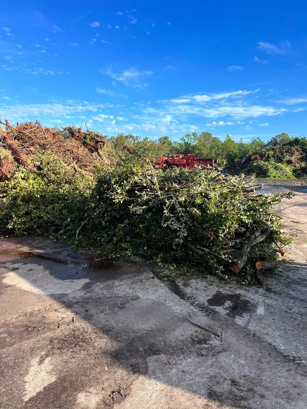 A large pile of branches is sitting on the side of a road.