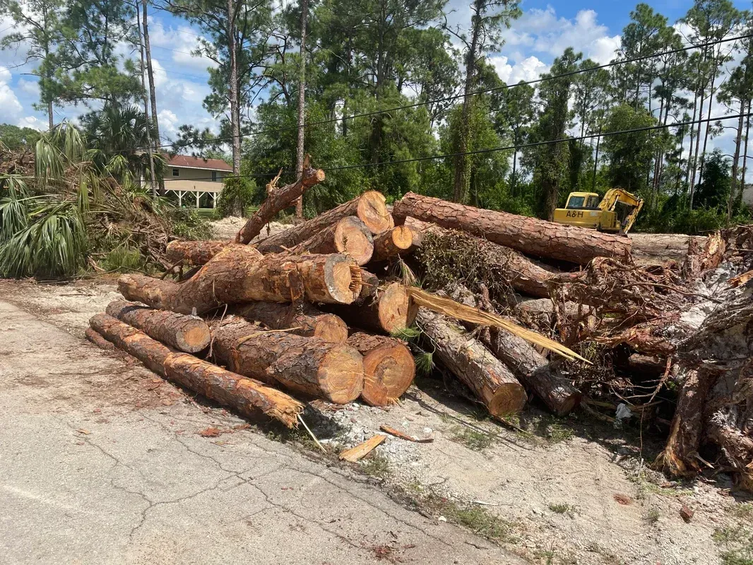 A pile of logs sitting on the side of a road.