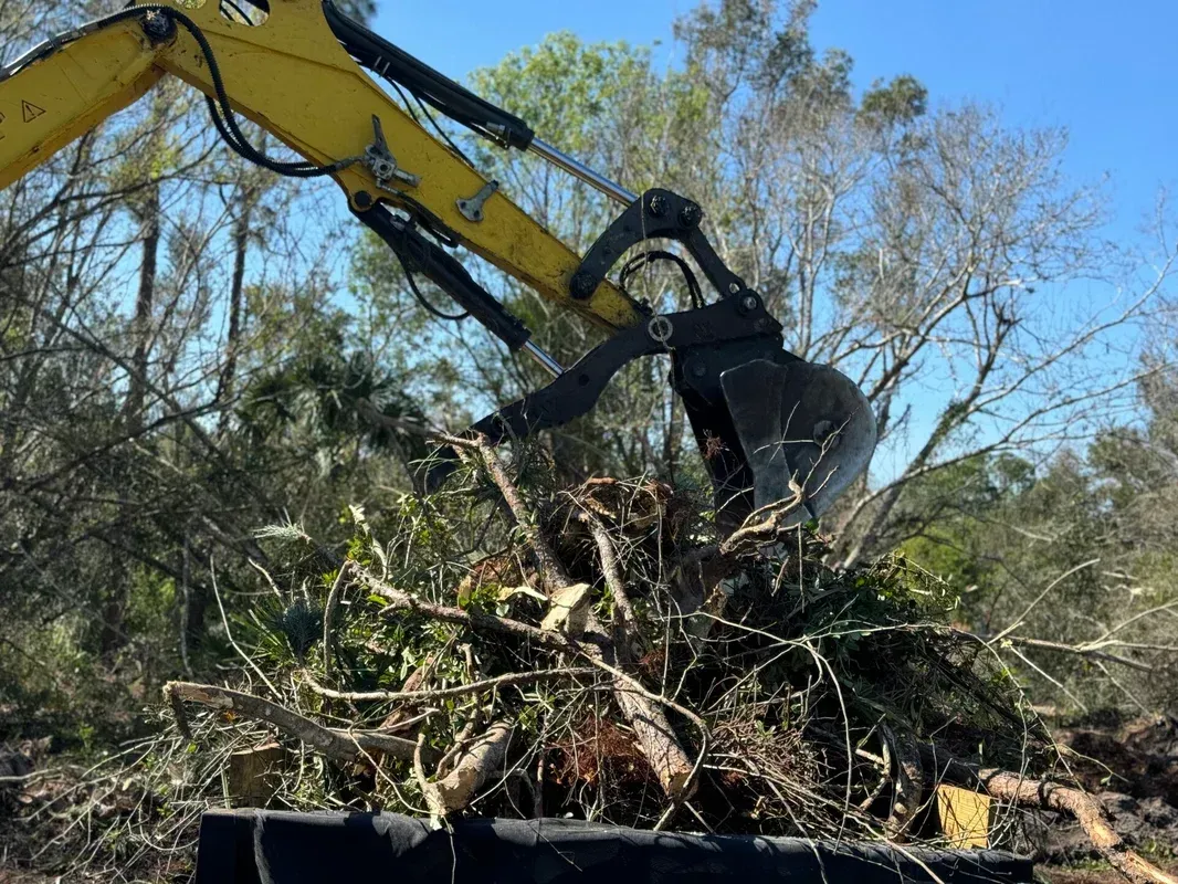 A yellow excavator is scooping a pile of branches in a forest.