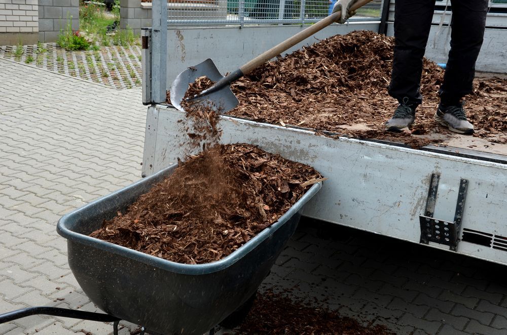 A person is loading wood chips into a wheelbarrow.