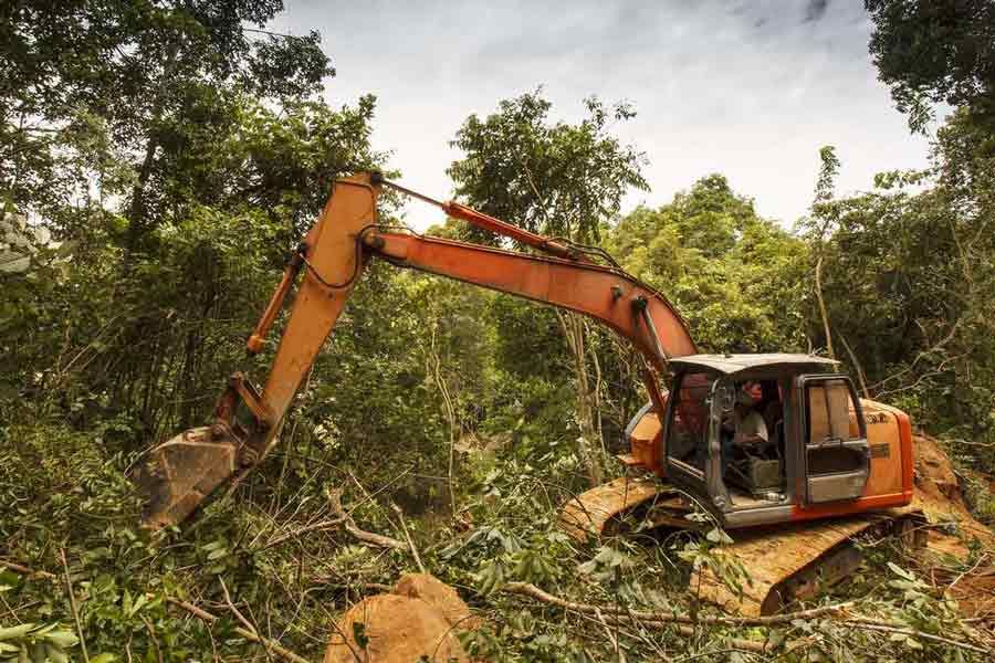 backhoe cleaning the cut trees