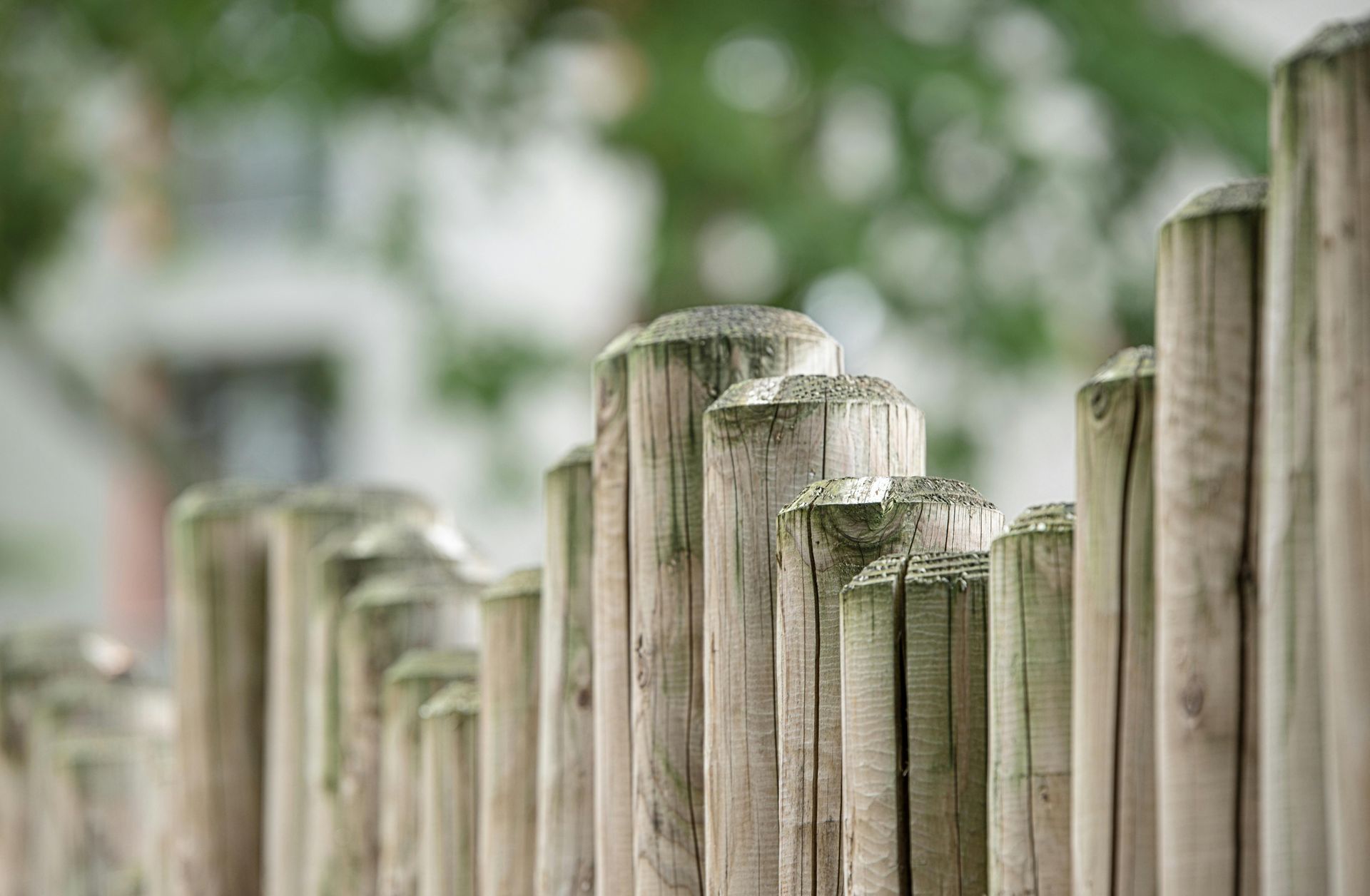 Wooden fence posts in a row, with blurred background of a building and trees.