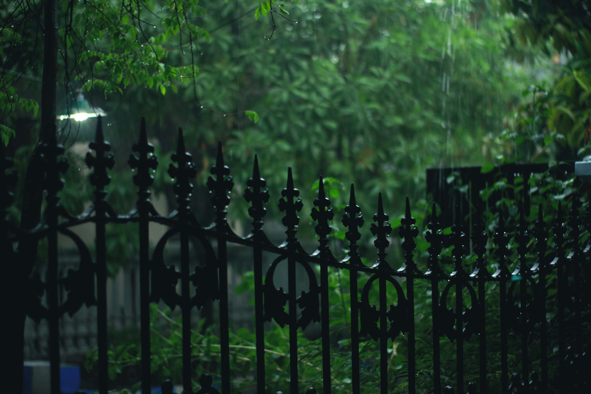 Rain falls behind a black wrought-iron fence, with lush green trees in the background.