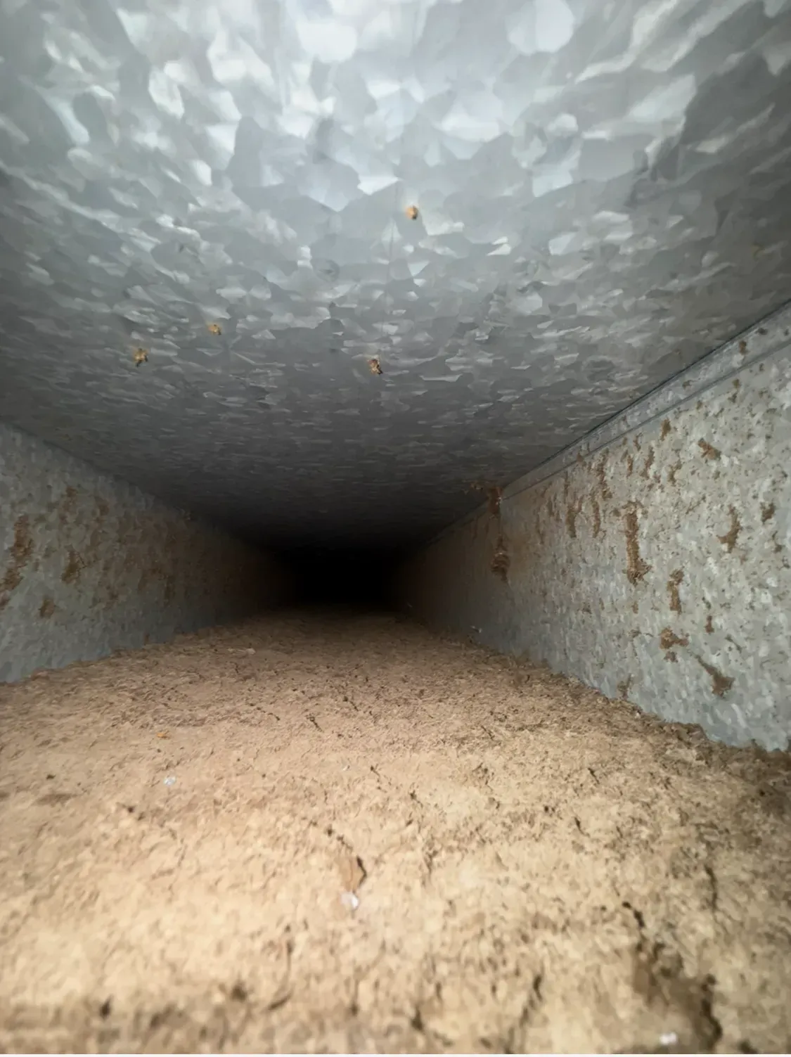 Inside a small concrete tunnel, dimly lit with dirt covering the floor and walls